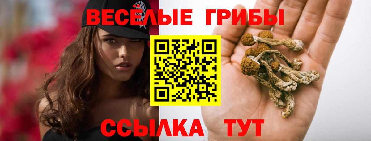 Псилоцибиновые грибы Cubensis  Псилоцибиновые грибы Cubensis  Иркутск  Вход с VPN 